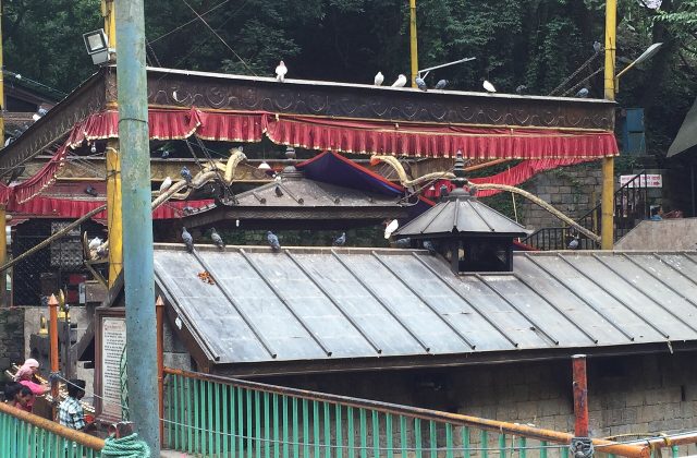 Dakshinkali Temple