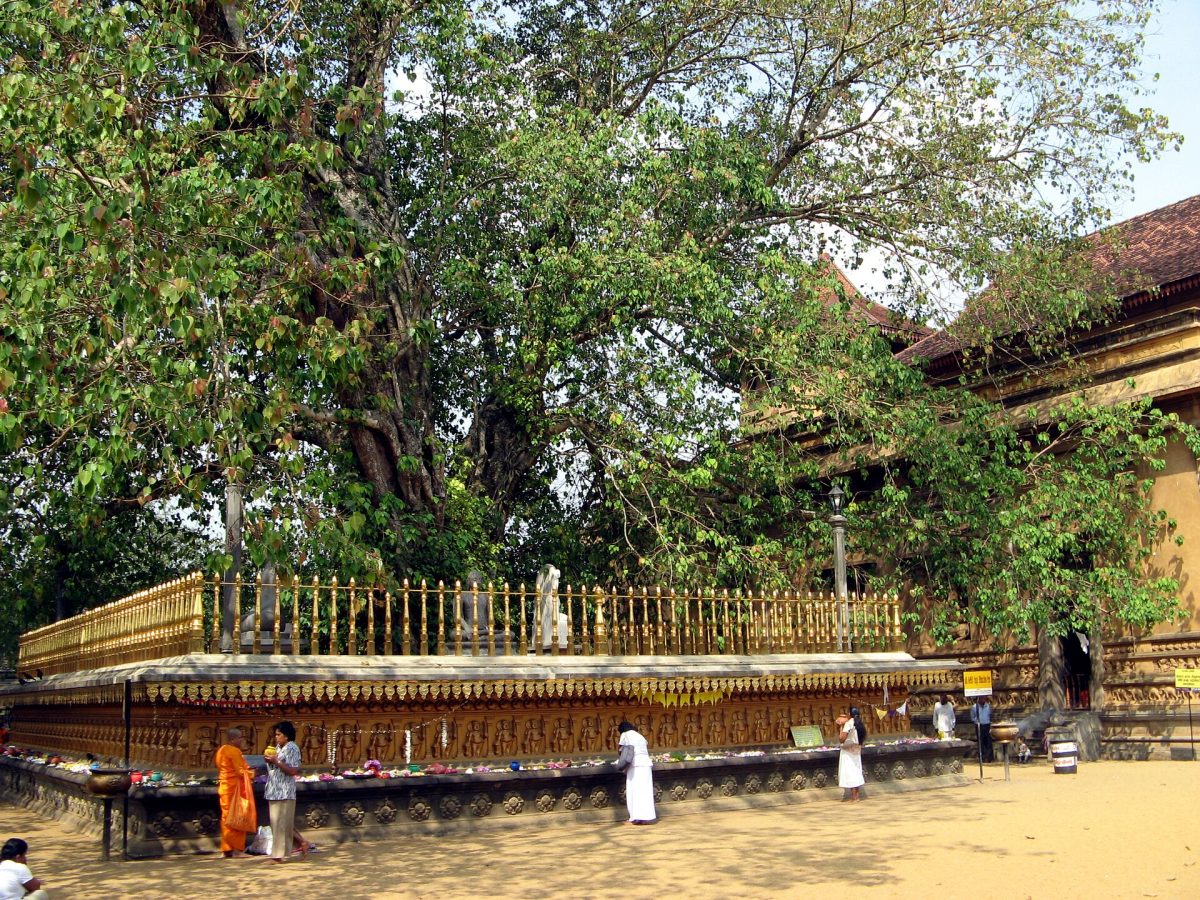 Kelaniya Raja Maha Vihara