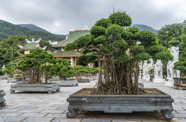 Linh Ung Pagoda (Son Tra)