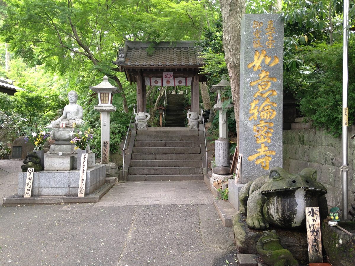 Nyoirin-ji (Frog Temple)