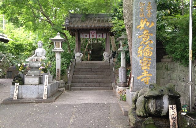 Nyoirin-ji (Frog Temple)